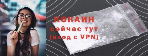 первитин Богородицк