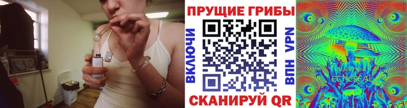Псилоцибиновые грибы GOLDEN TEACHER  Ессентукская 
